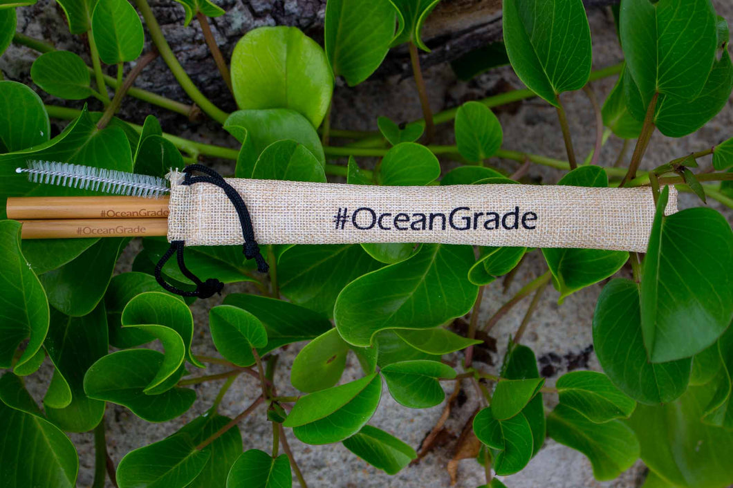 Bamboo Straw Kit - oceangrade